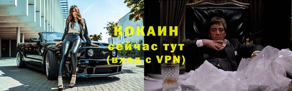 дурь Лиски