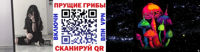 ОМГ ОМГ ССЫЛКА  Белебей  Псилоцибиновые грибы мицелий  как найти закладки 
