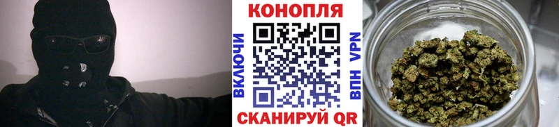 где продают наркотики  блэк спрут tor  Шишки марихуана Amnesia  Белебей 